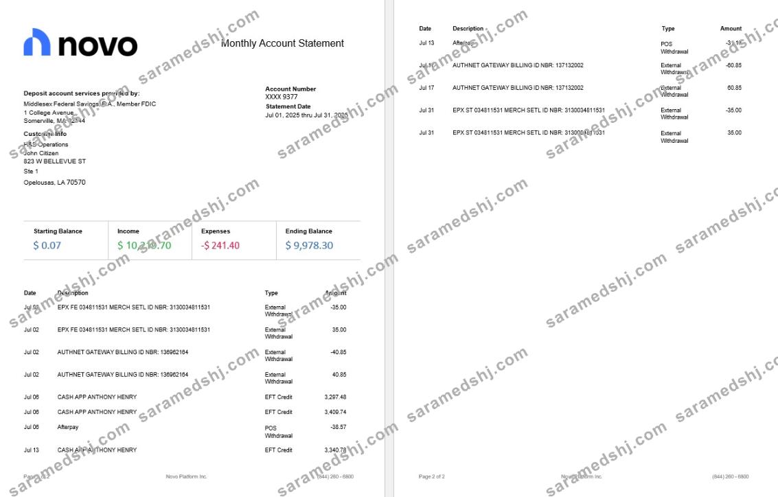 Novo Platform INC online business banking statement, 2 pages